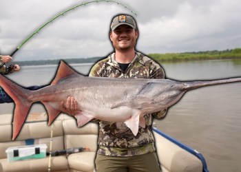 We Found Prehistoric Fish in the River! We Found Prehistoric Fish in the River!