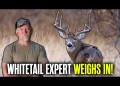 Want to Kill a Late October Giant… DO THIS NOW! | Hunters Advantage Podcast #300 Want to Kill a Late October Giant… DO THIS NOW! | Hunters Advantage Podcast #300