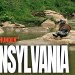 Bearded Thunder in Pennsylvania: Chasing Gobblers in the Keystone State | TURKEY POSSE ’25 Bearded Thunder in Pennsylvania: Chasing Gobblers in the Keystone State | TURKEY POSSE ’25