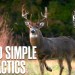 INSANELY Simple Rut Hunting Tactics for Killing Bucks this NOVEMBER | The Basics of Rut Hunting INSANELY Simple Rut Hunting Tactics for Killing Bucks this NOVEMBER | The Basics of Rut Hunting