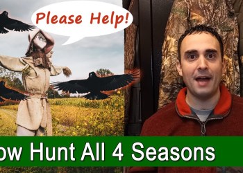How To Hunt Crows At All Times Of The Year | Summer, Fall, Winter, Spring How To Hunt Crows At All Times Of The Year | Summer, Fall, Winter, Spring