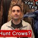 7 Reasons Crow Hunting Is The Best Place For Beginners To Start 7 Reasons Crow Hunting Is The Best Place For Beginners To Start