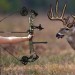 Why the Rut’s the Worst Time to Kill Your Target Buck Why the Rut’s the Worst Time to Kill Your Target Buck