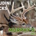 MAGICALLY Appearing Bucks || Murphy’s Law On Whitetails MAGICALLY Appearing Bucks || Murphy’s Law On Whitetails