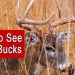 5 Ways To See More Bucks While Deer Hunting | Public or Private Land 5 Ways To See More Bucks While Deer Hunting | Public or Private Land