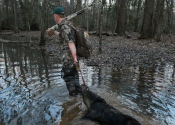 Swamp Wild Hog Hunting With The HIVIZ TriViz Swamp Wild Hog Hunting With The HIVIZ TriViz