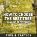 Hanging Treestands: How to Choose the BEST Tree in the Woods Hanging Treestands: How to Choose the BEST Tree in the Woods