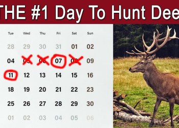 The Best Day Of The Year To Hunt Deer | Managing The Rut, Weather, Moon, and Conditions The Best Day Of The Year To Hunt Deer | Managing The Rut, Weather, Moon, and Conditions