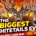“The Biggest Whitetails Ever… These Don’t Look Real” “The Biggest Whitetails Ever… These Don’t Look Real”