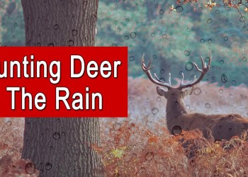 How To Hunt Deer In The Rain | Tips and Tactics For Bad Weather Days How To Hunt Deer In The Rain | Tips and Tactics For Bad Weather Days