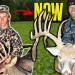 The Natural Progression of a Big Buck Hunter w/ Spoon Spann The Natural Progression of a Big Buck Hunter w/ Spoon Spann