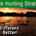 How To Start Duck Hunting | 5 Top Waterfowl Hunting Strategies How To Start Duck Hunting | 5 Top Waterfowl Hunting Strategies