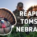 PLAN B GOBBLER || Wary Tom Falls To Reaper || POSSE PLAN B GOBBLER || Wary Tom Falls To Reaper || POSSE