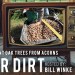 How to Plant Oak Trees from Acorns | DEER DIRT with Bill Winke | S3 E4 How to Plant Oak Trees from Acorns | DEER DIRT with Bill Winke | S3 E4