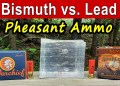 Bismuth vs. Lead Pheasant Hunting Ammo TESTED Bismuth vs. Lead Pheasant Hunting Ammo TESTED