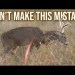 How To Aim on Whitetail Deer w/ the Bow! (The secret to quick, clean kills) How To Aim on Whitetail Deer w/ the Bow! (The secret to quick, clean kills)
