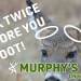 BUTTON BUCK Biology || Murphy’s Law On Whitetails BUTTON BUCK Biology || Murphy’s Law On Whitetails