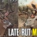 Do THIS to kill a buck in the Last 7 days of November | Hunters Advantage Podcast #303 Do THIS to kill a buck in the Last 7 days of November | Hunters Advantage Podcast #303