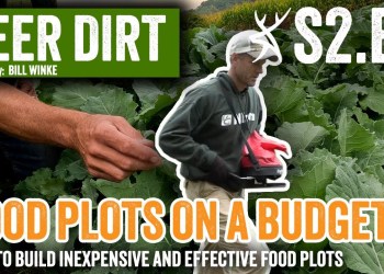 How to Build Food Plots for Deer Hunting on a Budget | DEER DIRT w/ Bill Winke S2 EP. 4 How to Build Food Plots for Deer Hunting on a Budget | DEER DIRT w/ Bill Winke S2 EP. 4