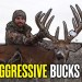 Want To Kill a Giant Buck this Rut? Try This NOW! | Hunters Advantage Podcast #301 Want To Kill a Giant Buck this Rut? Try This NOW! | Hunters Advantage Podcast #301