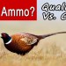 How To Pick The Best Ammo For Pheasant Hunting How To Pick The Best Ammo For Pheasant Hunting