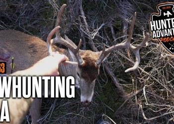 Bowhunting Q&A: Lessons Learned Slingin’ Arrows in 2024 Bowhunting Q&A: Lessons Learned Slingin’ Arrows in 2024