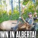 Archery Elk Hunting in Alberta | Hunters Advantage Podcast #294 Archery Elk Hunting in Alberta | Hunters Advantage Podcast #294