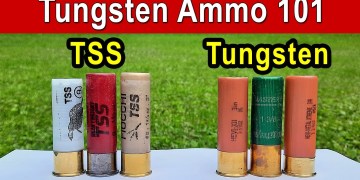Is TSS The Same As Tungsten Ammo? BEWARE Is TSS The Same As Tungsten Ammo? BEWARE