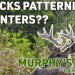 BUCKS PATTERNING HUNTERS || Murphy’s Law On Whitetails BUCKS PATTERNING HUNTERS || Murphy’s Law On Whitetails