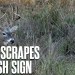 How-to Scout NOW for RUT Success – Analyzing Rubs, Scrapes & Fresh Sign for Pressured Public Bucks How-to Scout NOW for RUT Success – Analyzing Rubs, Scrapes & Fresh Sign for Pressured Public Bucks