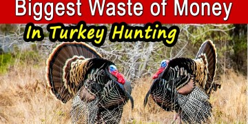 The Biggest Waste of Money in Turkey Hunting The Biggest Waste of Money in Turkey Hunting