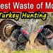The Biggest Waste of Money in Turkey Hunting The Biggest Waste of Money in Turkey Hunting