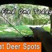 How To Find Great Spots To Hunt Deer | 3 Great Whitetail Stand & Blind Locations How To Find Great Spots To Hunt Deer | 3 Great Whitetail Stand & Blind Locations