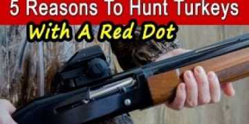 5 Reasons To Hunt Turkeys With A Red Dot 5 Reasons To Hunt Turkeys With A Red Dot