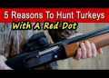 5 Reasons To Hunt Turkeys With A Red Dot 5 Reasons To Hunt Turkeys With A Red Dot