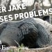SUPER JAKE Surprises Hunter || Turkey Hunting In Nebraska SUPER JAKE Surprises Hunter || Turkey Hunting In Nebraska