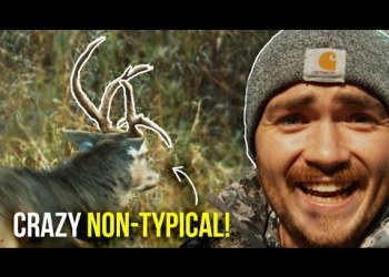 BOW HUNTING BUCKS In Oklahoma! (7.5 Year Old Deer) BOW HUNTING BUCKS In Oklahoma! (7.5 Year Old Deer)