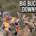 BEST Whitetail BUCK Hunts w/ the Bow!! (4K Footage) BEST Whitetail BUCK Hunts w/ the Bow!! (4K Footage)