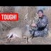 Warrior Buck Wont Give Up! – Quest S1E4 Warrior Buck Wont Give Up! – Quest S1E4
