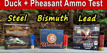 Steel vs. Bismuth vs. Lead Ammo TESTED | Duck + Pheasant Hunting Loads Steel vs. Bismuth vs. Lead Ammo TESTED | Duck + Pheasant Hunting Loads