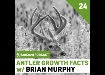 #043 – Brian Murphy – Whitetail Antler Growth FACTS #043 – Brian Murphy – Whitetail Antler Growth FACTS