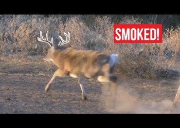 Heart Shot On Texas Hill Country Buck! – Quest S1E6 Heart Shot On Texas Hill Country Buck! – Quest S1E6