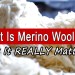 What Is Merino Wool? Is It REALLY Better Than Regular Wool? What Is Merino Wool? Is It REALLY Better Than Regular Wool?