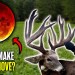 Moon Phase: Does It Matter for Mature Buck Movement? Moon Phase: Does It Matter for Mature Buck Movement?