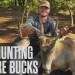 The ‘Turkey Spur 10’ | Passing a Mature 150″ Buck for Two Years to GROW a Giant The ‘Turkey Spur 10’ | Passing a Mature 150″ Buck for Two Years to GROW a Giant