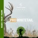 #063 – PRO WHITETAIL is LIVE! #063 – PRO WHITETAIL is LIVE!