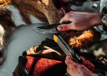 Hunting Pack Essential: Work Sharp Guided Field Sharpener Hunting Pack Essential: Work Sharp Guided Field Sharpener