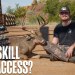 Hunting Access vs. Hunting Skill: Why Access Wins Every Time Hunting Access vs. Hunting Skill: Why Access Wins Every Time