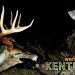 STALKING A KENTUCKY BRUISER BUCK | WHITETAIL POSSE STALKING A KENTUCKY BRUISER BUCK | WHITETAIL POSSE