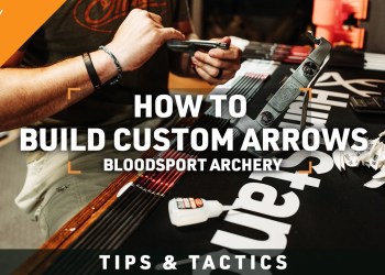 Custom Build THIS ARROW to Hunt ANY BIG GAME ANIMAL in North America! Custom Build THIS ARROW to Hunt ANY BIG GAME ANIMAL in North America!